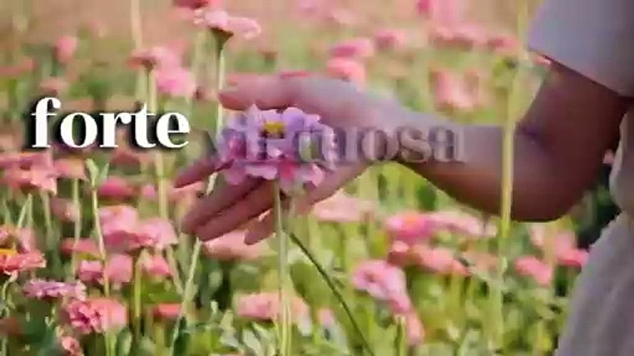 Guia da mulher
