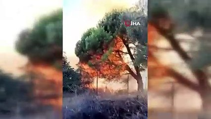 Mecidiye Köy'de 2 Noktada Yangın: 1 Ev Alevlere Teslim Oldu