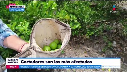 Así se encuentra Michoacán luego del paro por parte de productores de limón