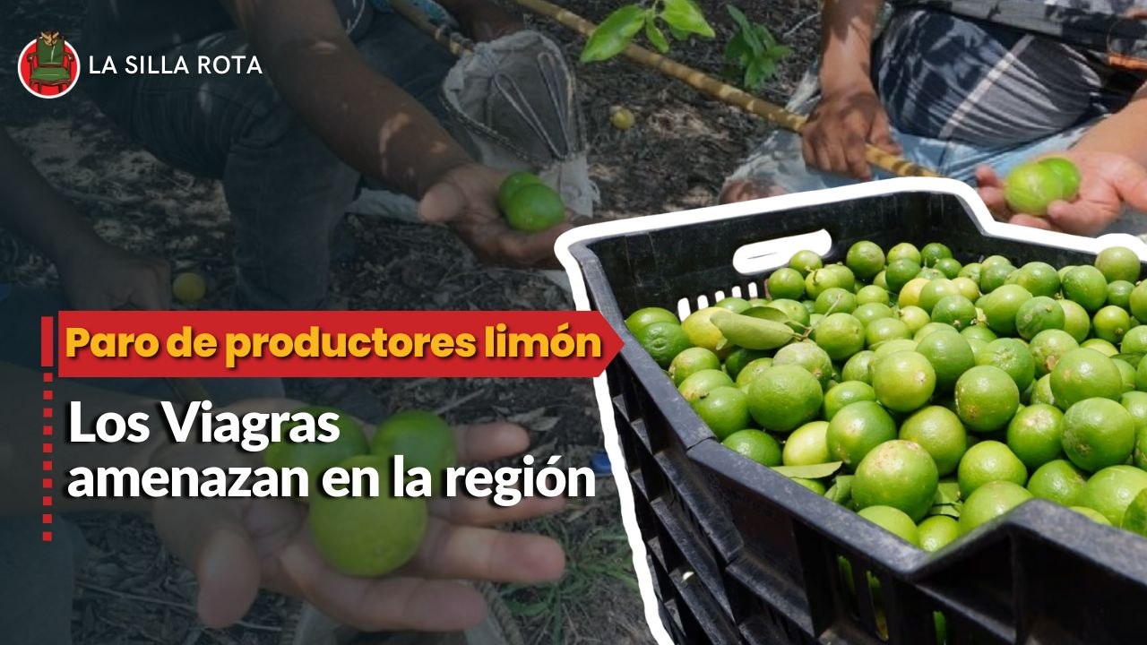 Paro de productores limón continúa; Viagras amenazan en la región