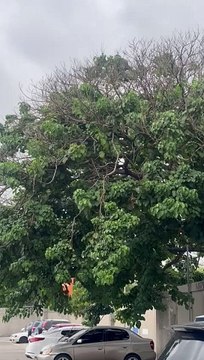 Efectos indirectos de huracán Ernesto comienzan a sentirse en RD