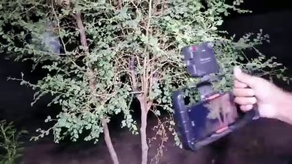 Room mein kait chudail ne hath kat liya 14 Aug 2024