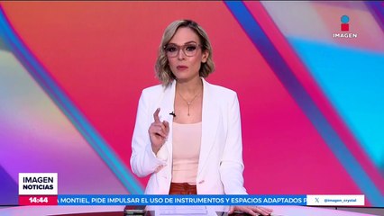 Perrito de Corea del Sur detecta las feromonas que desprenden las chinches