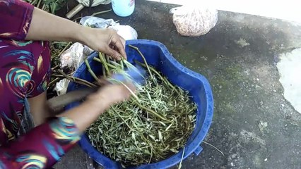 grated spinach - épinards râpés - سبانخ مبشورة