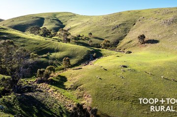 Three Chain Road, Sanderston | August 15, 2024 | Farmonline