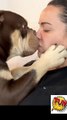 Dog and sexi girl sexi kissing#lovely#sexi girl#new#Lips#animal sex##animal kissing#funny#