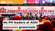 No PH leaders at Umno AGM to appease grassroots, say analysts