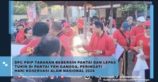 DPC PDIP Tabanan Bebersih Pantai dan Lepas Tukik di Pantai Yeh Gangga, Peringati Hari Konservasi Alam Nasional 2024