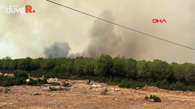 Menteşe ve Yatağan'da orman yangını çıktı