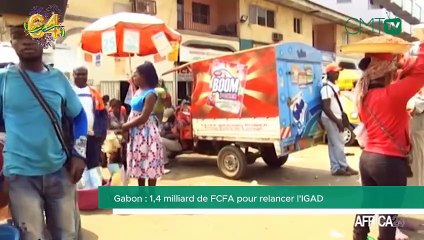 [#Reportage] Gabon : 1,4 milliard de FCFA pour relancer l'IGAD.mp4
