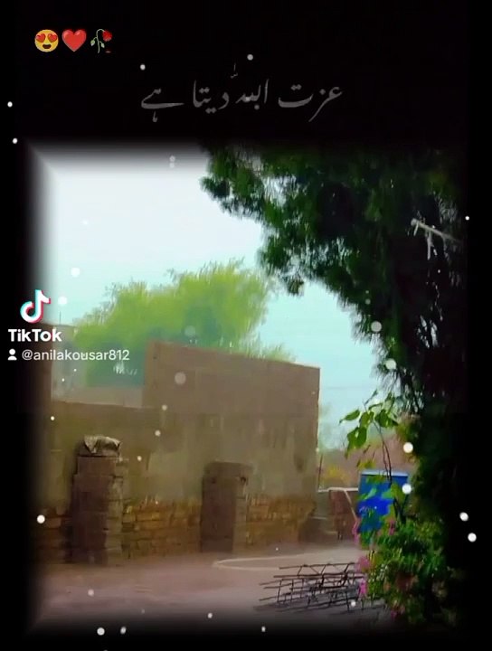 Allah jise chahta Hai izat Deta Hai jise chahta Hai Dil Deta Hai