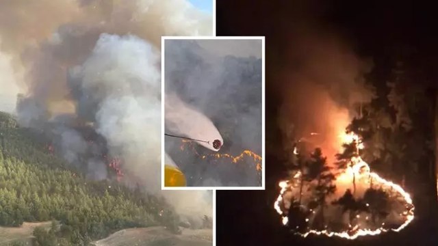 Manisa'nın Gördes ilçesindeki orman yangını ikinci gününde