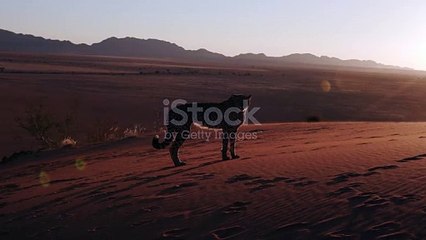 istockphoto-584051418-640_adpp_is