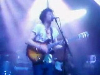 Confusion printanière BB brunes