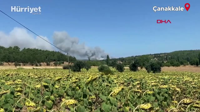 Çanakkale’nin Eceabat ilçesinde ormanlık alanda yangın