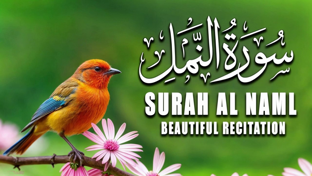 Surah Naml Beautiful Voice Recitation | سورہ النمل  |  Tilawat E Quran  |Al Quran
