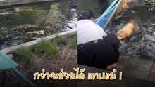 ดูแล้วลุ้นตาม ! นักศึกษาช่วยเจ้าตูบตกน้ำ