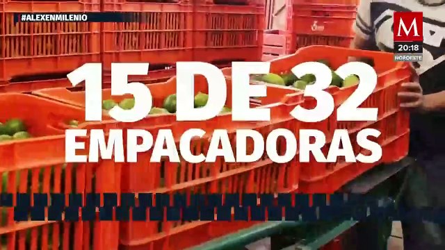 Ana Gabriela Guevara se defiende de las críticas en su contra. Alejandro Domínguez, 14 de agosto 2024