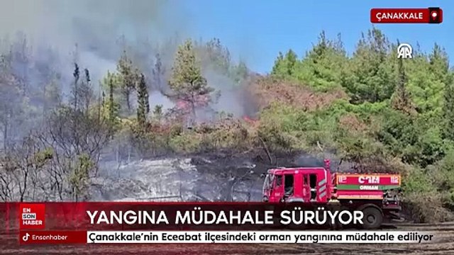 Çanakkale'nin Eceabat ilçesindeki orman yangınına müdahale ediliyor