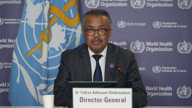 Mpox : l'OMS déclenche son plus haut niveau d'alerte mondiale, annonce son directeur