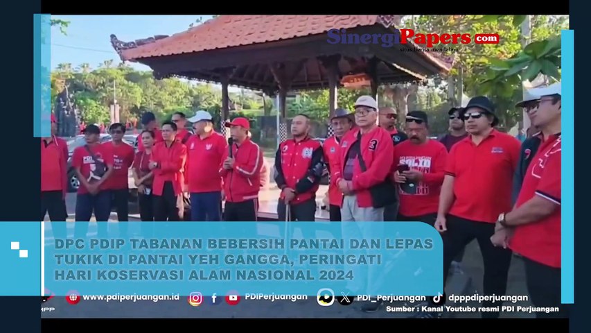 DPC PDIP Tabanan Bebersih Pantai dan Lepas Tukik di Pantai Yeh Gangga, Peringati Hari Konservasi Alam Nasional 2024