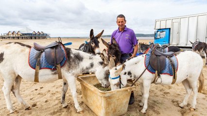 Britain's oldest donkey ride company hits back at proposed ban