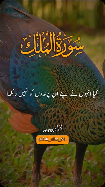 Quran kreem ka trjmah