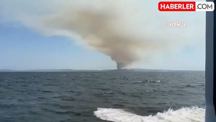 Çanakkale Büyükanafarta Köyü Yakınında Orman Yangını