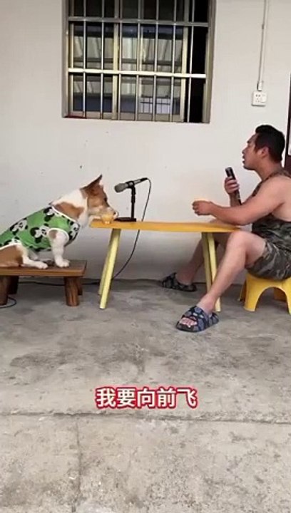 Funny video
