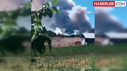 Bolu'da 2 ilçe arasında orman yangını başladı: Dumanlar gökyüzünü kapladı