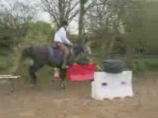 Obstacle avec matoch et jazz et onyx