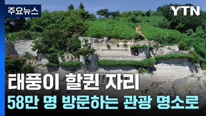 태풍이 할퀸 자리...58만 명 방문하는 관광 명소로 / YTN