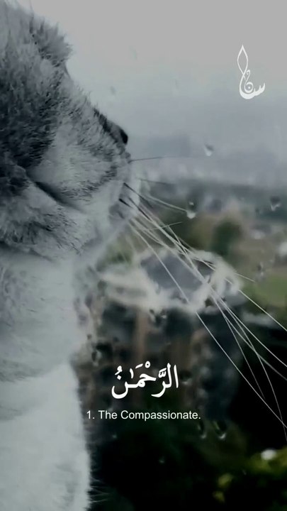 Surah Al Rehman
