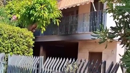 Salta in aria una casa: fuga di gas da una bombola