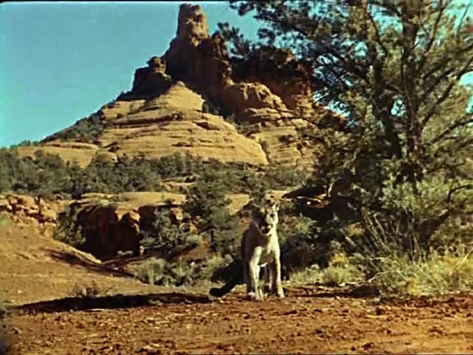 S07E10 - Die Hellseherin