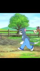 tom and jerry fun carton 2024