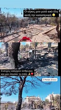 Χάρης Γιακουμάτος: Κινδύνευσε το σπίτι του από τη φωτιά στην Αττική