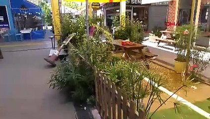 Çarşının maskotu 'Kontes', buzdolabında ölü bulundu