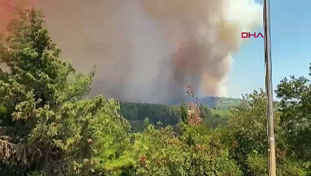 Çanakkale Eceabat ilçesinde orman yangını