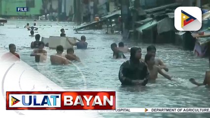 Download Video: DOH, nakatutok sa pagtaas ng kaso ng leptospirosis at dengue kasunod ng Bagyong Carina at habagat