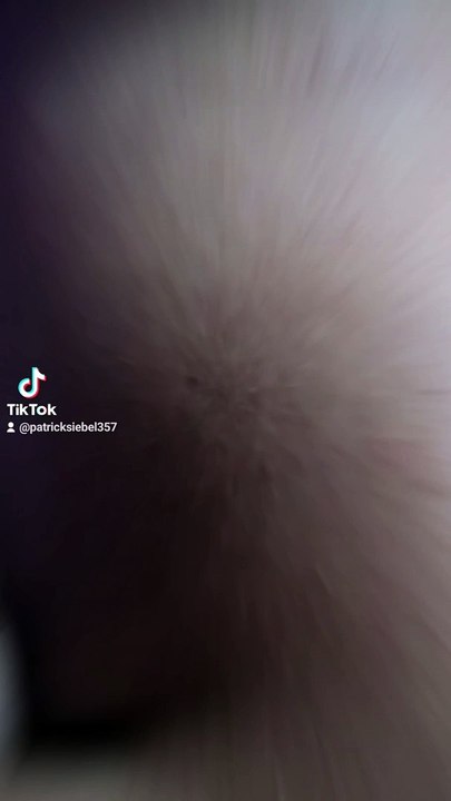 Scene Video