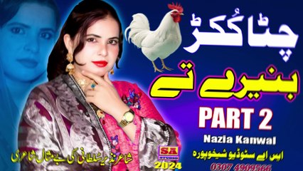 Chitta Kukkar Banere | Punjabi Dukhi Tappe | Full Sad Song 2024 | Nazia Kanwal