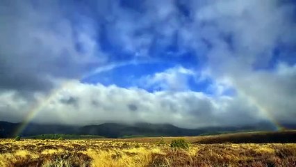 10 Coolest Things you will see for the first time