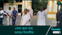 ঘোলা জলে মাছ ধরছেন বিরোধীরা, রোগীরা চিকিৎসা পাচ্ছেন না! আর কতদিন?: মমতা