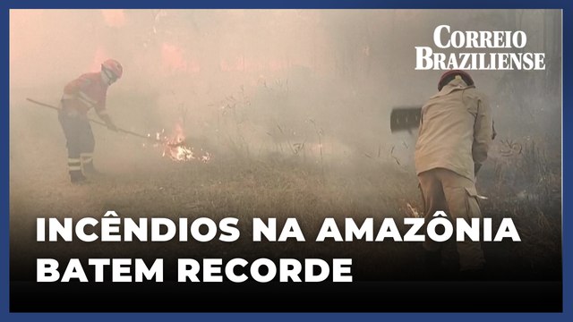 Incêndios na Amazônia Legal batem recorde em duas décadas