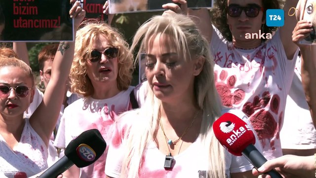 CHP, sokak hayvanları yasasının iptali için AYM'ye başvurdu