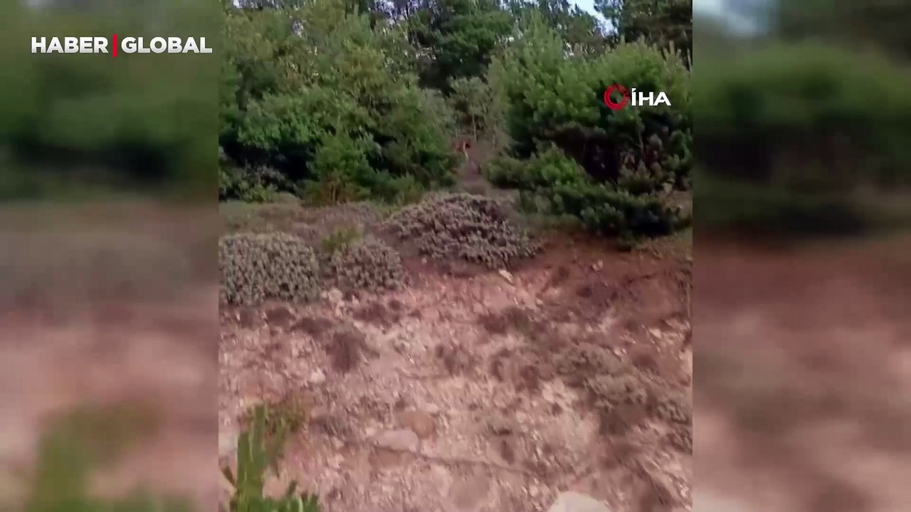 Tokat'ta bir vatandaş ormanın hayaleti ile karşılaştı ardından ona kışkış çekti