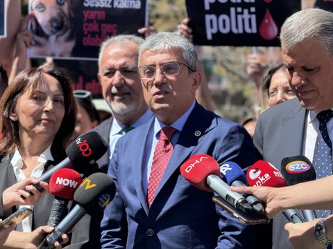 CHP'den, sokak hayvanları yasasının iptali için AYM'ye başvurdu