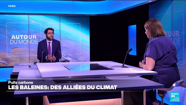 Les baleines, de véritables alliées contre le réchauffement climatique