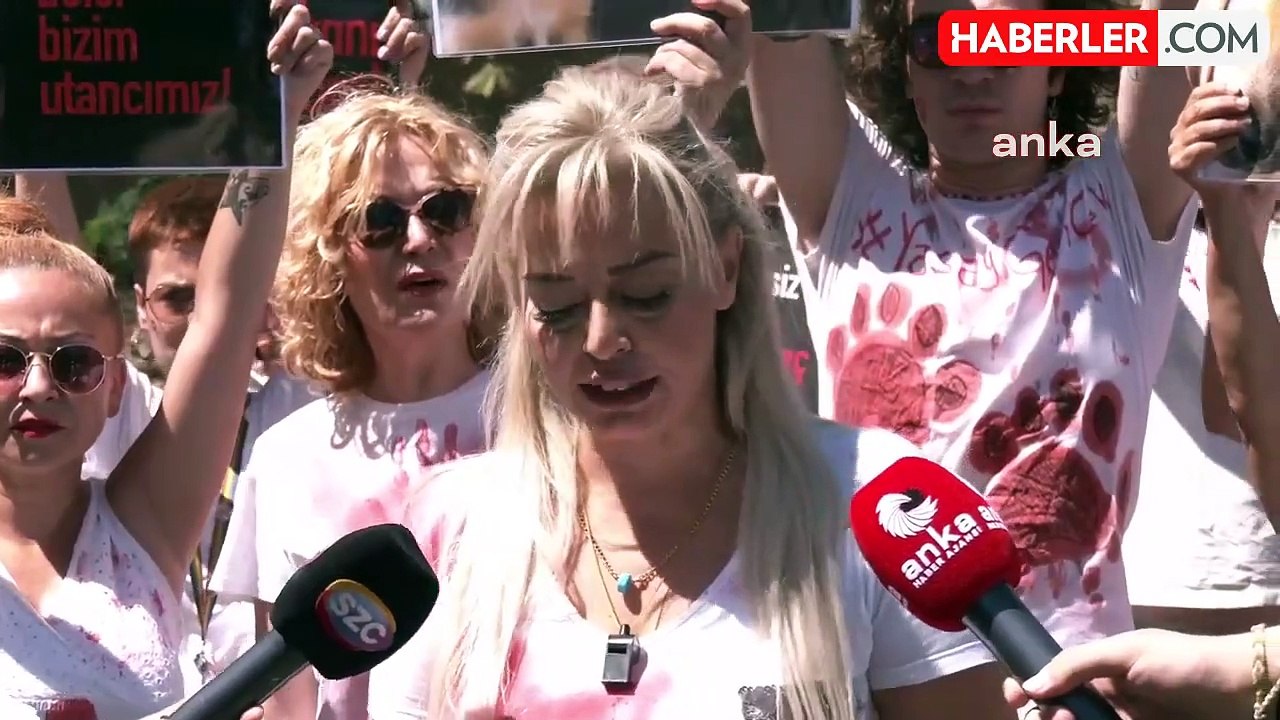 Hayvan Hakları Savunucuları Hayvanları Koruma Kanunu'nu Protesto Etti